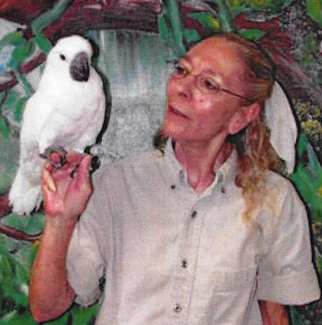 Obituary of JoAnn Louise Walilko