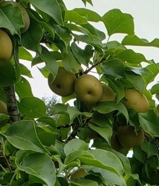 Jerry Richey Obituary - Mabank, TX