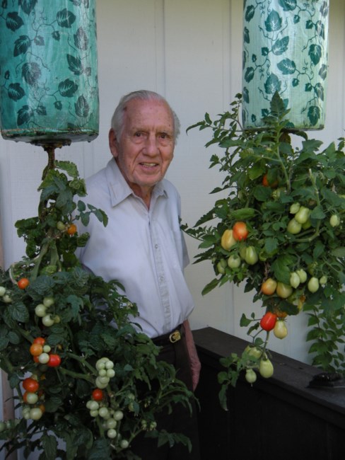 Obituary of Vincent Paul Napolitano