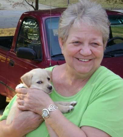 Obituary of Sandra Stephens