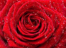 Obituary of Betty Addison Delberta
