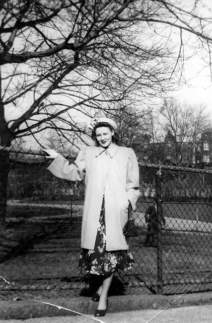 Obituary of Ann P. Ferraiolo