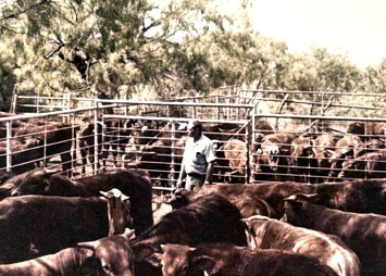 Obituary of Charles William Schroeder