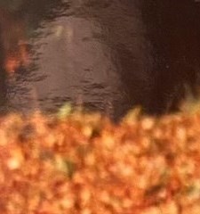 Gail Henri Obituary New Britain, CT