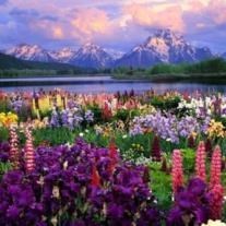 Obituary of Freda K Pappas