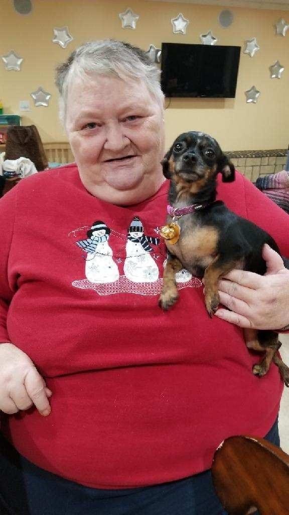 Obituary of Robin Lyn Kimmel