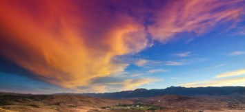 Obituary of Herbert Rice