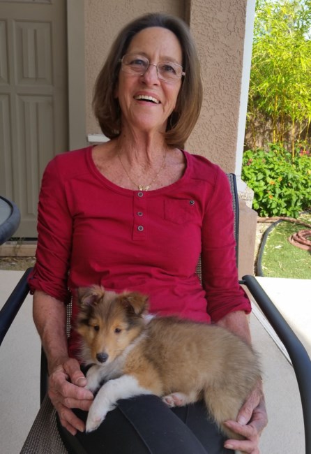 Obituary of Jackie Ann Baughman