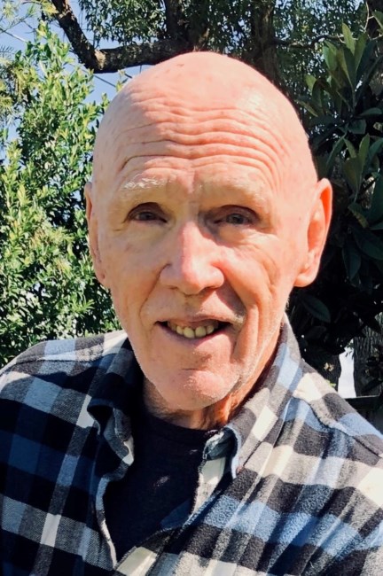 Obituary of Albert Bresciani