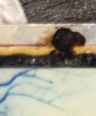 Joseph Slider Obituary - New Albany, IN