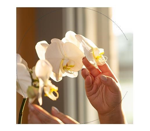 Avis de décès de Linda Fay Reed