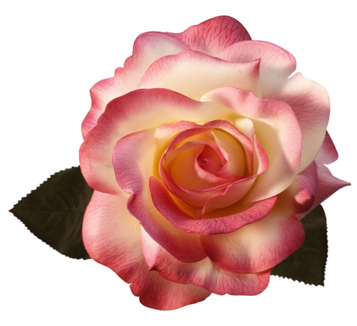 Obituary of Sarah Sally Bart