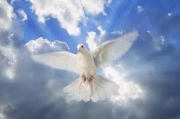 Obituary of Leola Delahunty