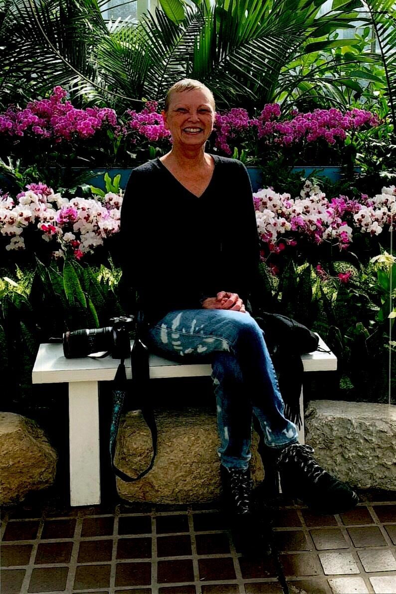 Obituary of Sharon Sue Menkhaus