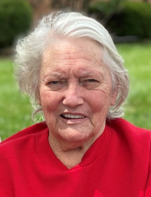 Obituary of Linda Lee Saupe