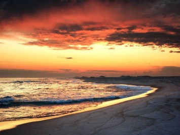 Obituary of Mr. Quoc Oai Ha