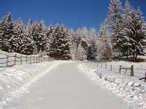 Obituary of Barbara Jean Prechter