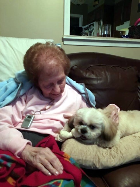 Obituary of Louise Auciello