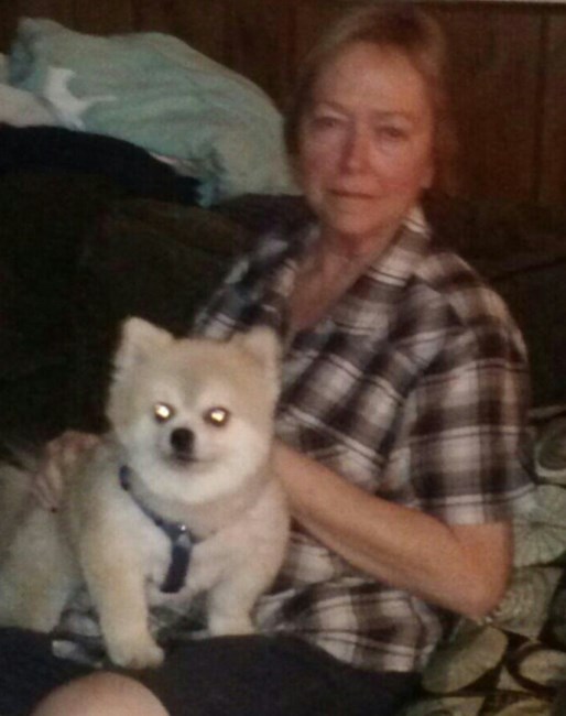 Avis de décès de Virginia Maye Dixon