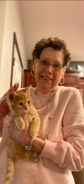 Obituary of Marlyne Jo Anne Gormley