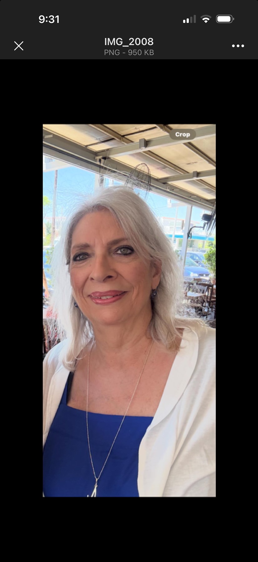 Obituary of Andrea Ann Kyriazis