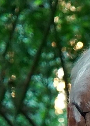 John Berringer Obituary - Kenora, ON