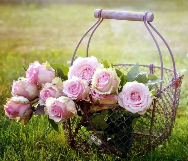 Obituary of Patricia Ann Tozer-Hunter