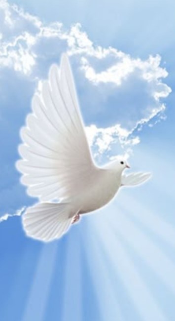 Obituary of Pamela Allison Carbajal Diaz