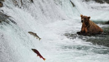 Obituary of Michael Joseph Montero