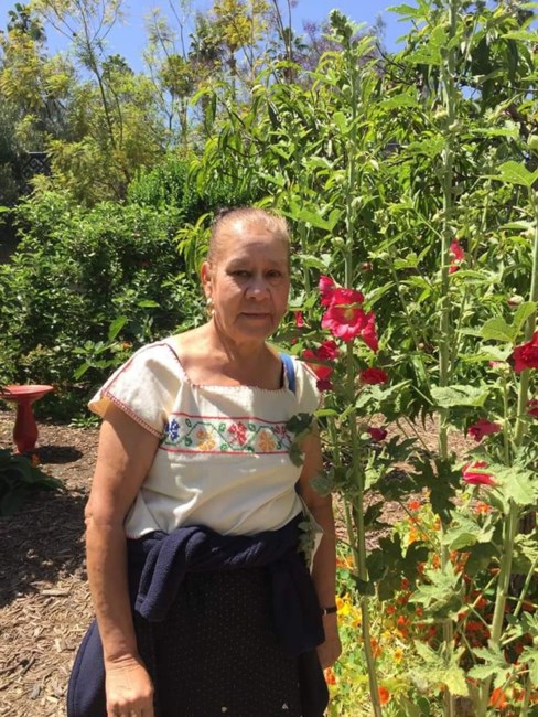 Obituario de Enedina Pulido  Ochoa