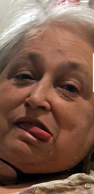 Obituary of Patricia Ann Fleck