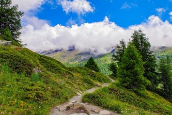 Obituary of William Frederick Sanders Jr.