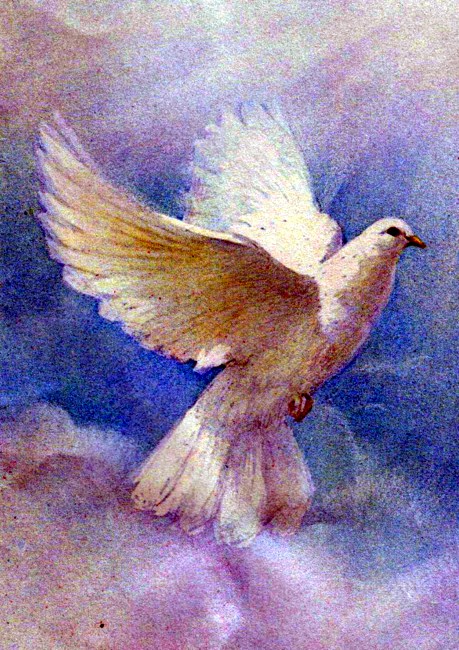 Obituary of Christine Cain