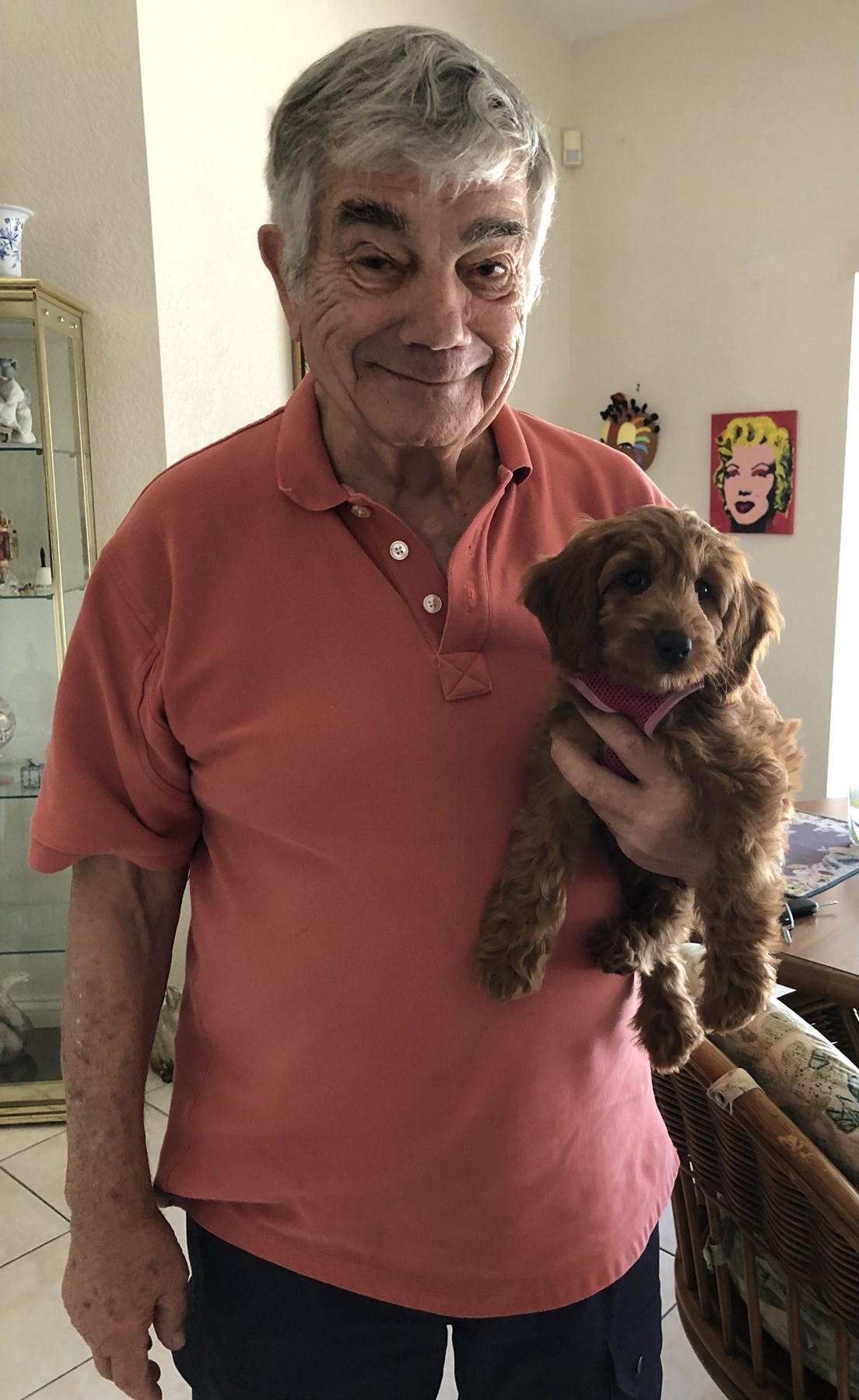 Obituary of Vincent James Signorello