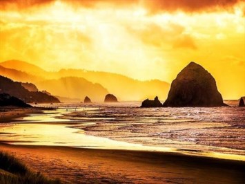 Obituary of Vince Edward Fouts