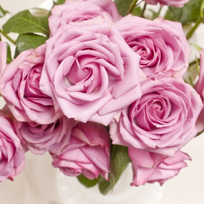 Obituary of Bonnie Louise Bloxham