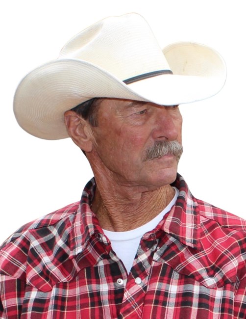 Obituary of Timothy Sherwood Hollis
