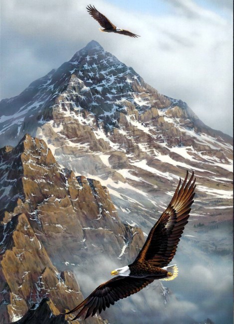 Obituary of LTC Richard Tocalis Retired U.S. Army