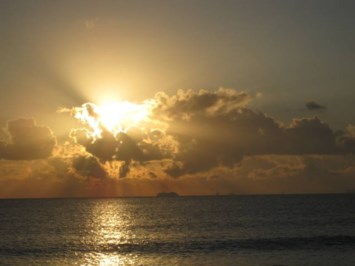 Obituary of Rhoda Miller Goldman