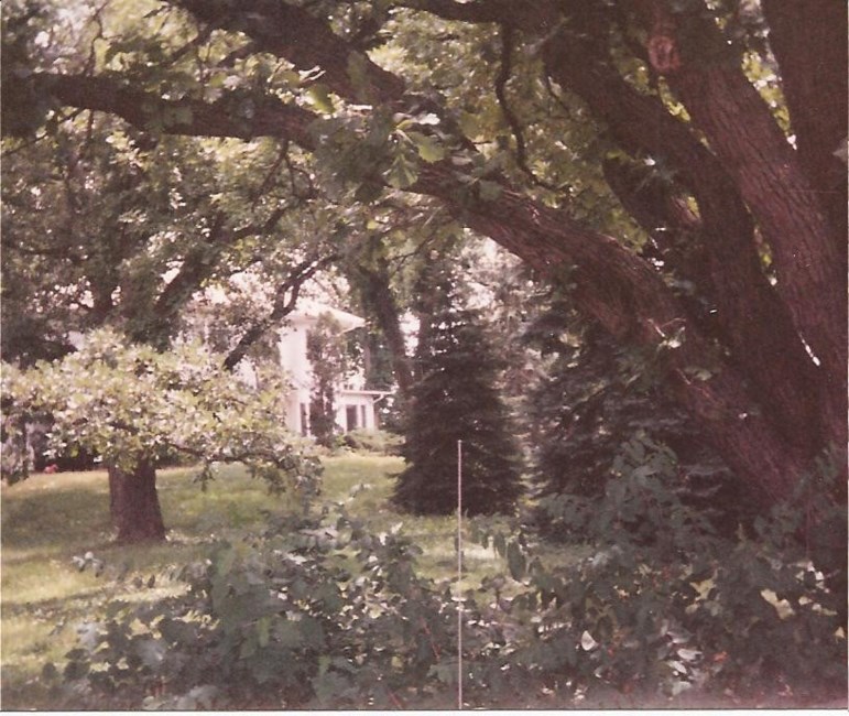 Obituary of Bob Downey