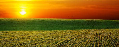 Obituary of Otis Joseph Kliebert