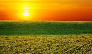 Obituary of Otis Joseph Kliebert