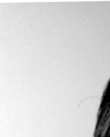 Larry William Zimmer Jr. Obituary - Wheat Ridge, CO