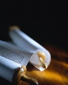 Obituary of Allan Goodman