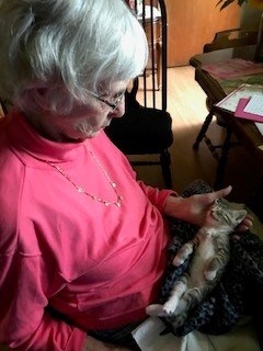 Obituary of Lois Marjorie Fee