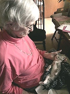 Obituary of Lois Marjorie Fee