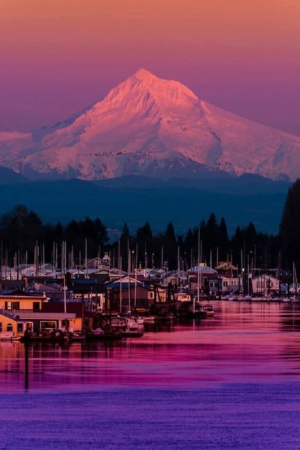 Obituary of Jennifer Renee Woodbury