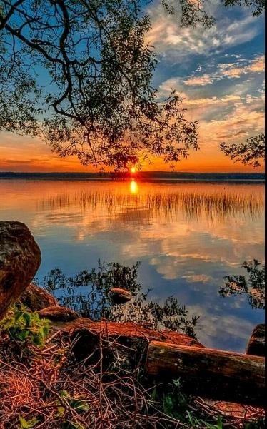 Obituary of William Charles Herron