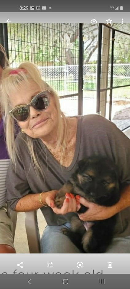 Obituary of Wendy Arlene Veczko