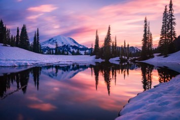 Obituary of Florence Yang